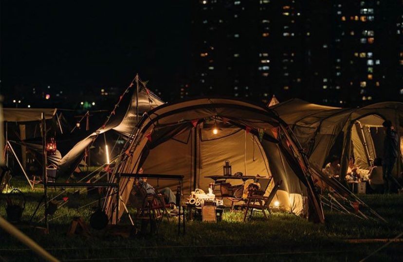 122556245 2771023019786317 5167778239894864803 N