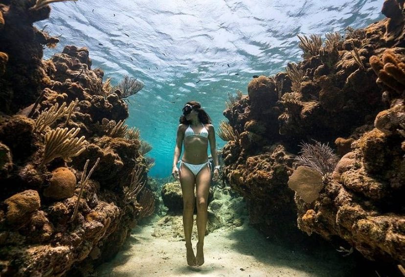 139177703 2844447462465170 693323809708624359 N