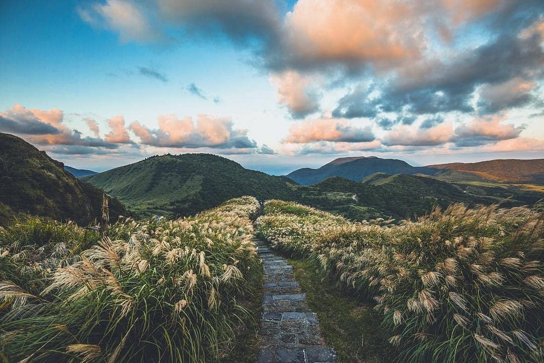 42002656 347440785998243 995790123107217925 N