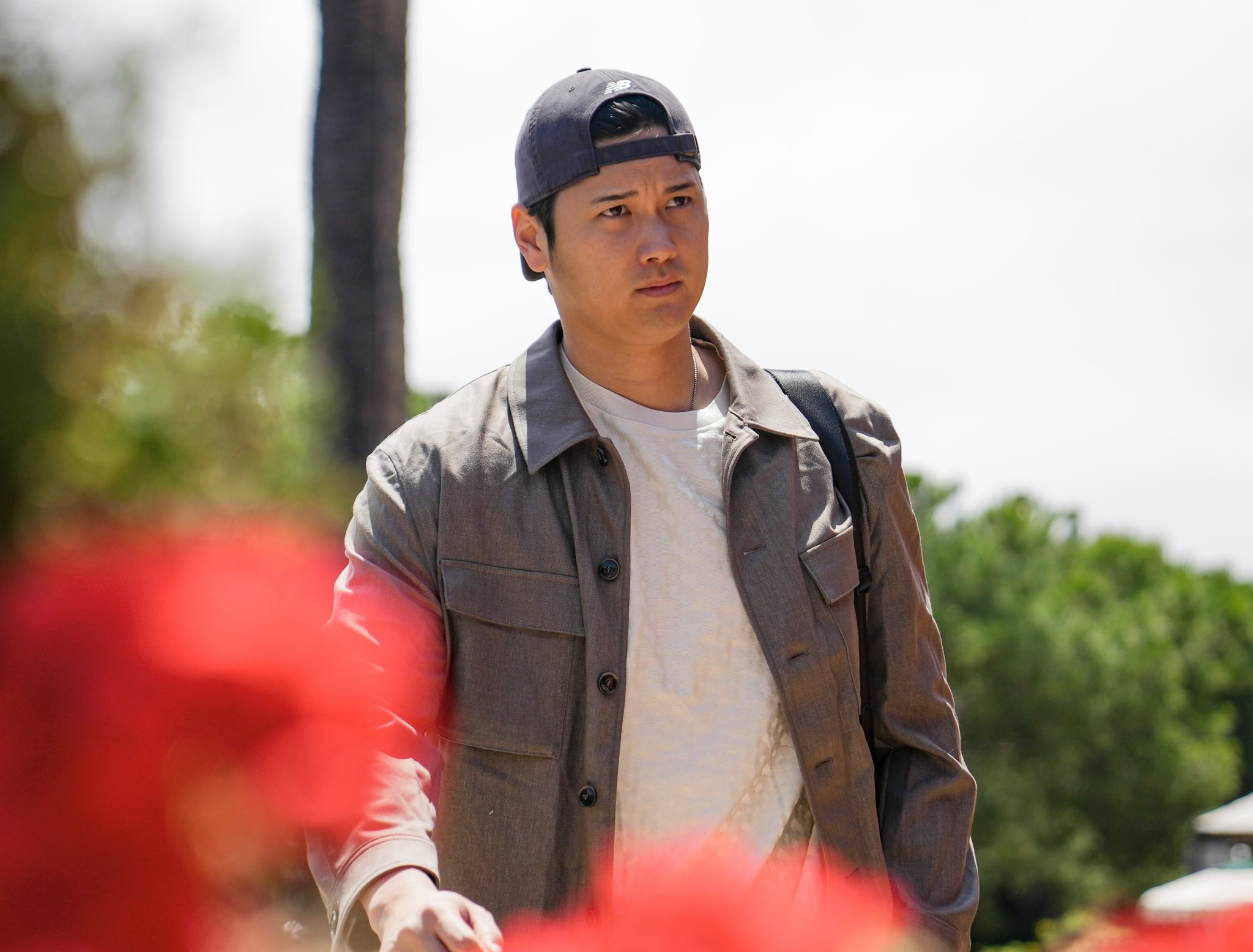 504717171 1326922565458858 8042941287565337606 N