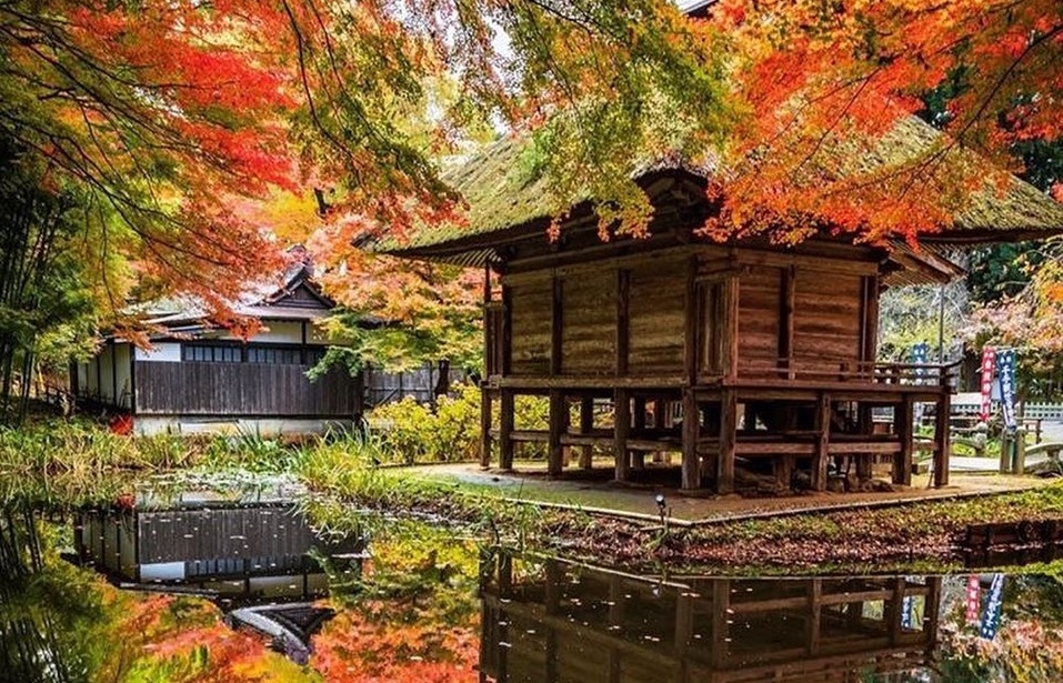 72707219 620047358531851 6845143772411456241 N