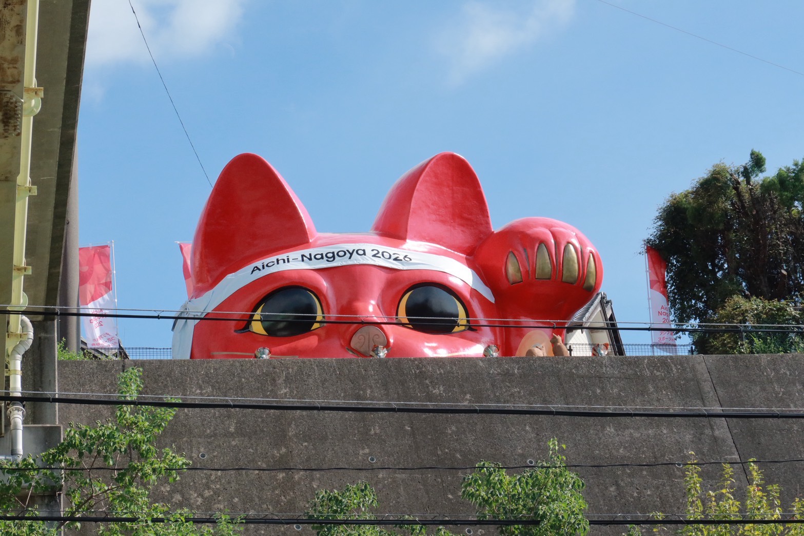 Red Cat