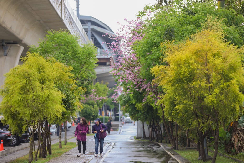 台中綠空廊道（圖片來源台中市政府） 500kb